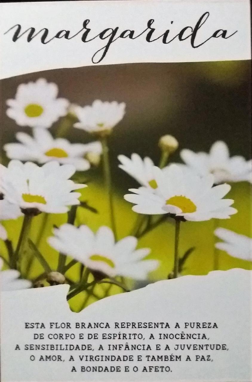 Recanto Das Flores Hotel Praia de Pipa Bagian luar foto
